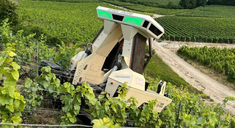 Zilus – talajkímélő elektromos robot a modern szőlészetek számára