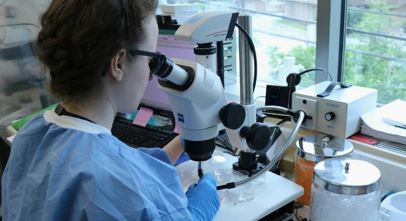Brutális fegyverzettel rendelkező baktériumra bukkantak egy fővárosi aluljáróban