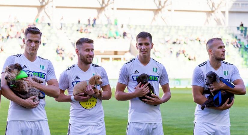 Állatok Világnapja: kutyák vonulnak a Haladás játékosaival