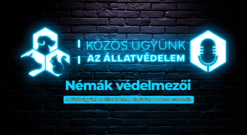 Szaporítótelepek és kutyaviadalok elleni fellépéssel startol a Közös ügyünk az állatvédelem Alapítvány új podcast sorozata az Állatok Világnapján!