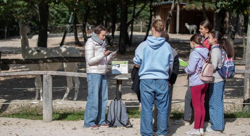 Gyerekzsivaj és tudáspróba az állatok világnapja alkalmából a Veszprémi Állatkertben