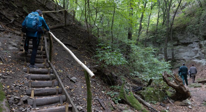 Újra teljes pompájában a Pilis legendás kirándulóhelye – videó