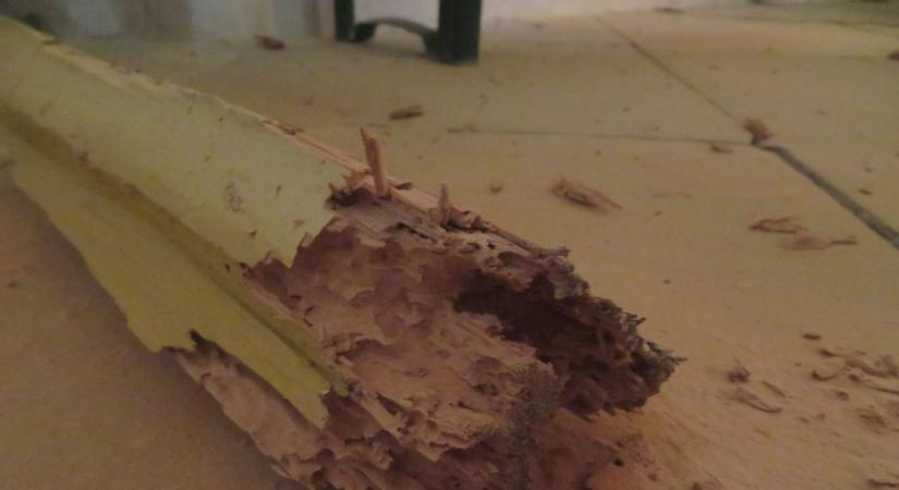 Életveszélyessé vált a baranyai templom, bezárták