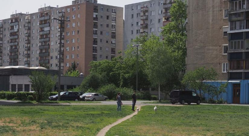 Dúl a szerelem a debreceni lakótelepen – de nem úgy, ahogy sokan gondolják! – fotóval