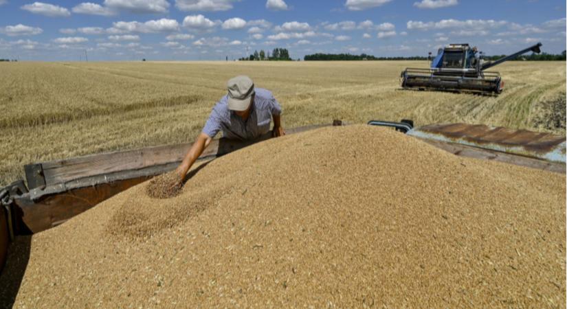 EU megemeli az ukrán agrártermékek exportkvótáit