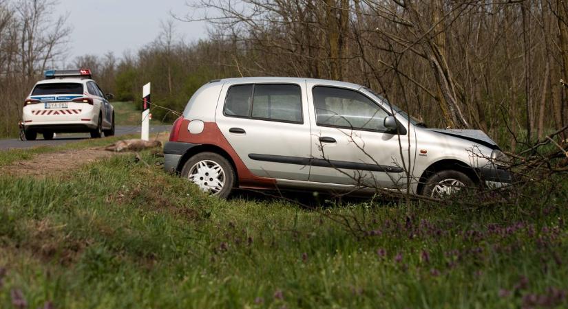 Vadelütés: különösen ekkor indokolt a fokozott óvatosság!