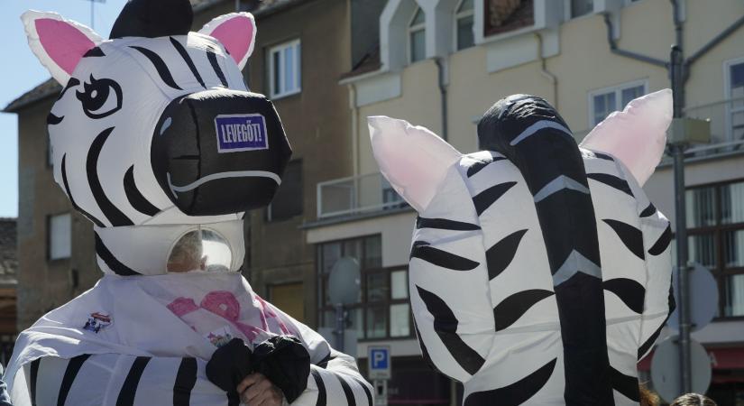 „Rángattak és megütöttek” – Megtámadták a pécsi Pride-on a zebrajelmezes felvonulót
