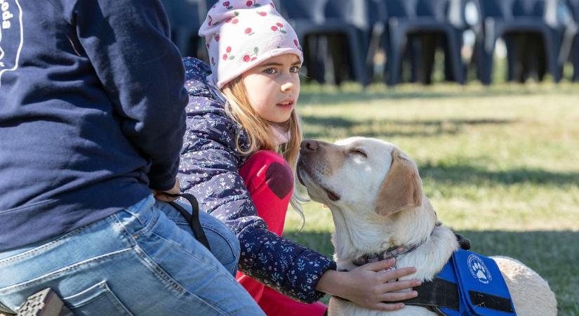 Az állatok világnapját ünnepelték a Halesz parkban (képgalériával, videóval)