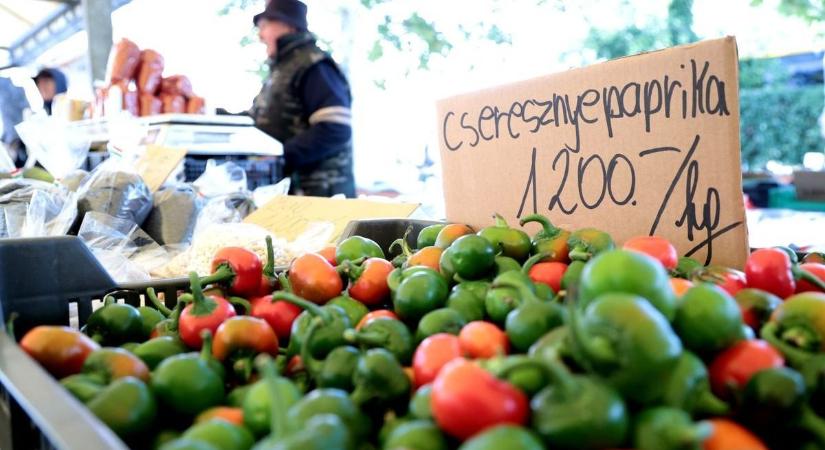 Baleset és az állatok világnapja – rengeteg minden történt ma