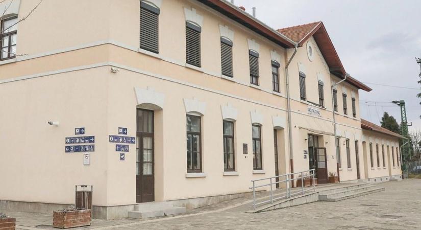 Kegyetlen dolgot tettek egy ártatlan kutyával, de jóra fordult a sorsa