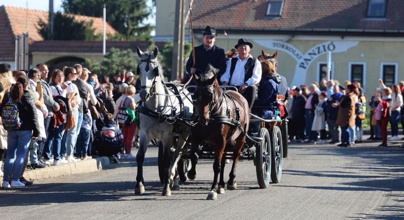 Tokajban még a szőlő is lepergett. Bele a polgármesterek bora puttonyába - képek, videó