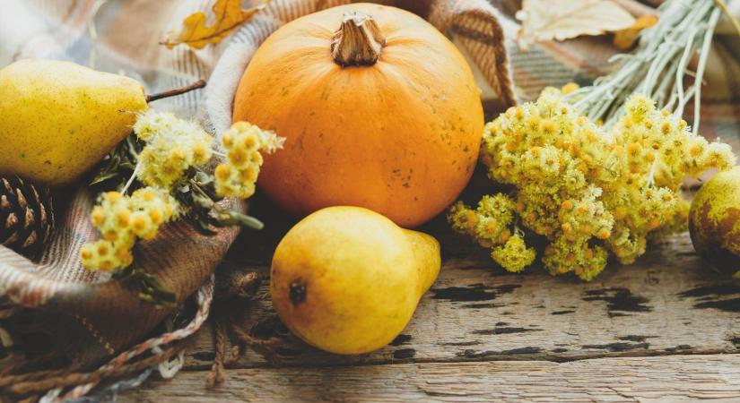 Novemberi horoszkóp: sorsfordító napok a csillagjegyeknek