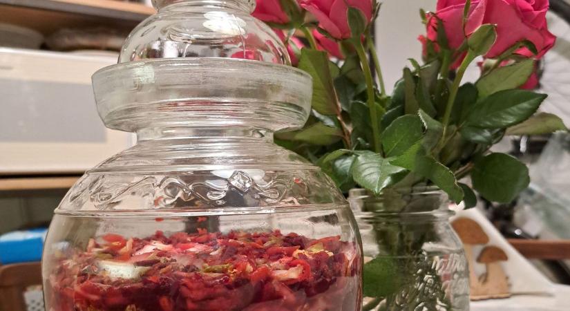 Fermentálás okosan: így lesz könnyen, gyorsan saját házi savanyúságunk
