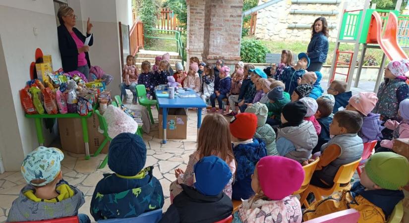 A cicákért dobog a cserszegtomaji ovisok, szüleik és óvónőik szíve
