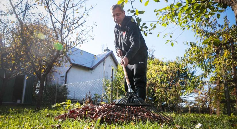 Ezeket a kerti munkákat kell elvégezned ősszel