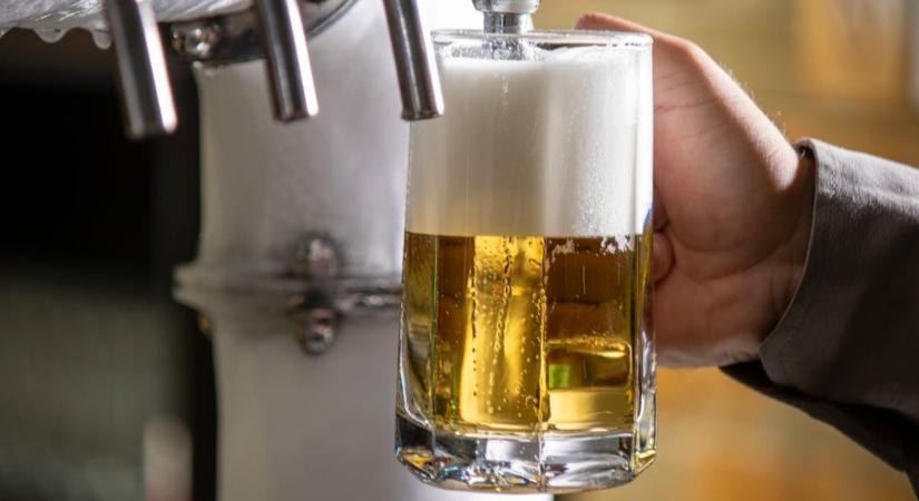 Komlópiaci válság: mi áll a sörgyártás alapanyagának mélyrepülése mögött?