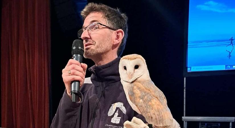 Mit keresett a bagoly a könyvtárban?