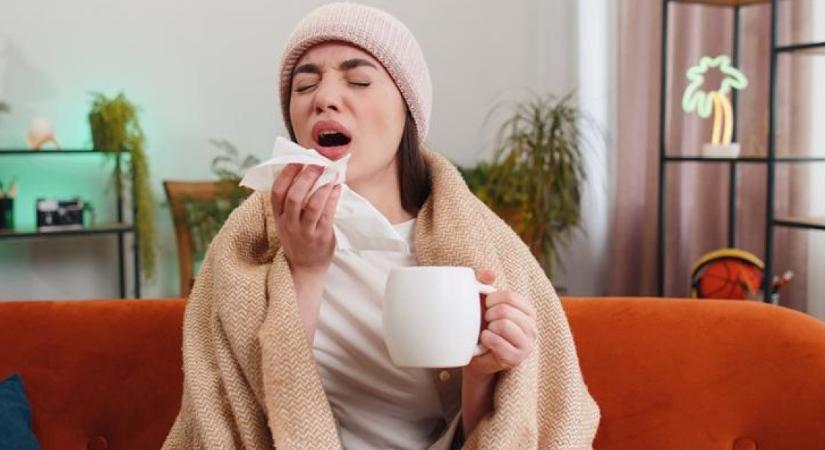 Ezek a legjobb immunerősítő teák influenza és megfázás ellen - Valódi vírusölők