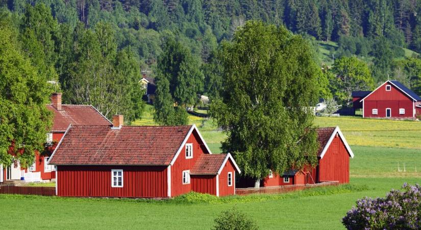 Ahol az orvos gyógyszerként írja fel az utazást