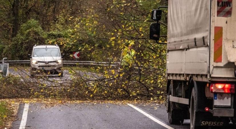 Itt lesznek egész októberben teljes útlezárások a Bakonyban