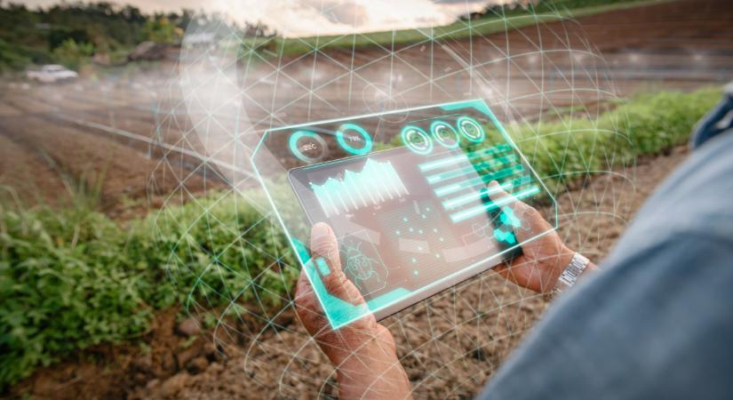 Ez a jövő? A mesterséges intelligencia segít a fajtaválasztásban is