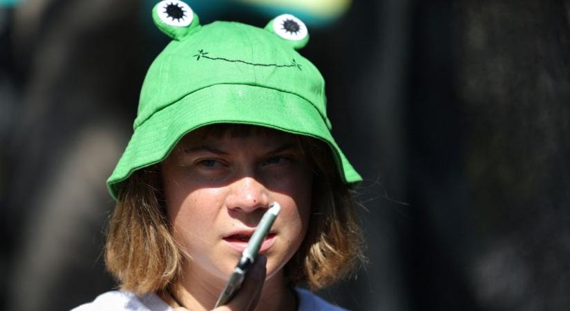 Hamarabb, mint a sánta kutyát: kiderült, hogy Greta Thunberg poloskás, zászlócsókos drámájából egy szó sem igaz
