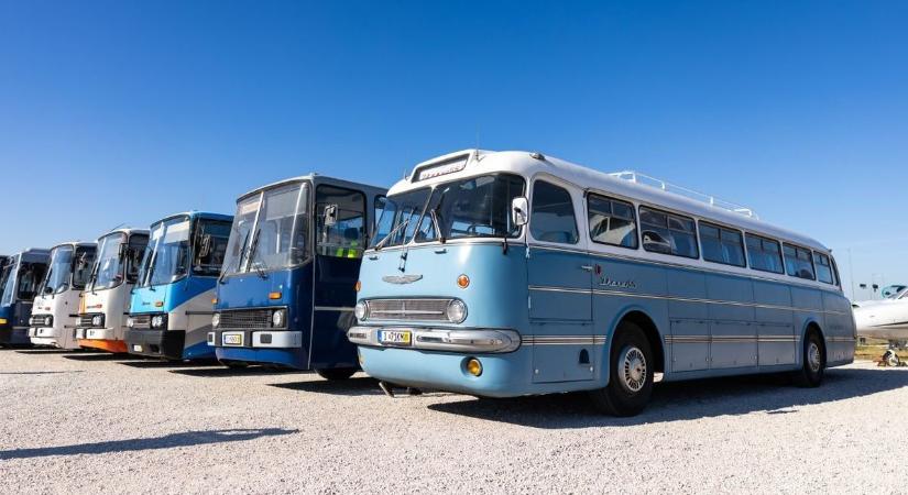 Legendás magyar buszok lepték el az Aeroparkot