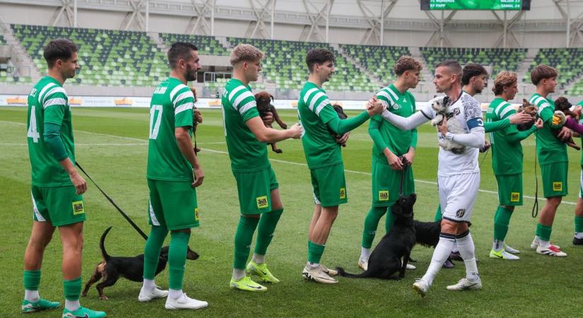 Kutyákkal vonultak a pályára a Haladás-futballisták - Fotók!