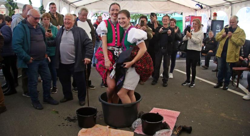 Mezítláb taposták a szőlőt, így ünnepelték a szüreti időszak végét