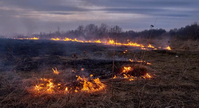 Az agrárium támogatása lehet a klímaválság megoldása is?