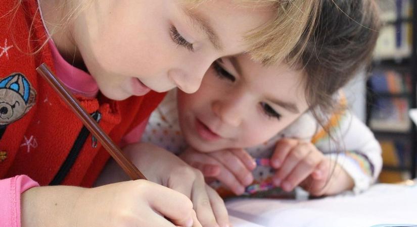 Helyet kell teremteni a magyar oktatási rendszerben a valódi tudást adó terepi oktatásnak!