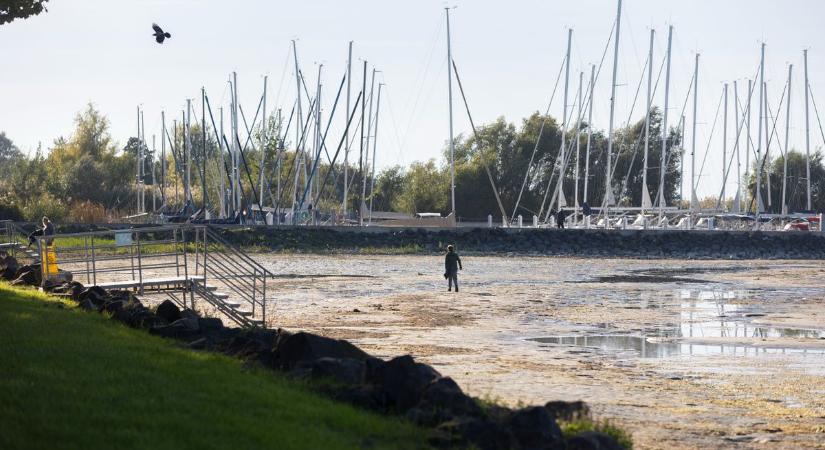 Döbbenetes fotók: annyira kevés a víz a Balaton medrében, hogy sétálni lehet benne