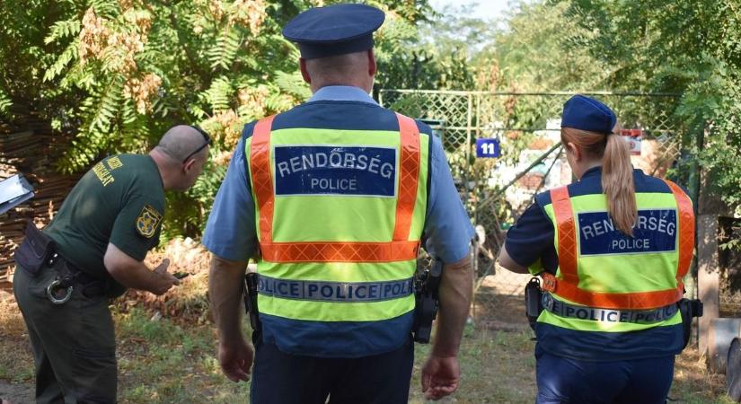 Elszabadult állatok rémisztették meg a helyieket a város szélén, a hatóság közbelépett