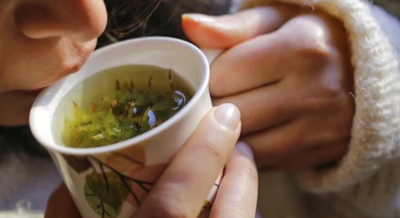 Bivalyerős immunerősítő teák náthaszezonra – Idd őket naponta