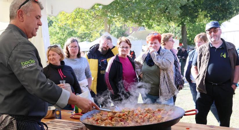 Bede Róbert, Irigy Hónaljmirigy, Groovehouse és kiváló borok a falunapon (galéria)