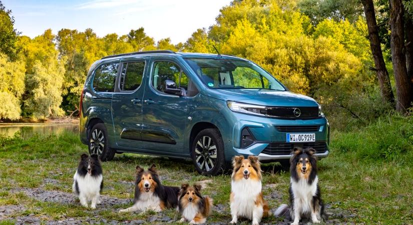 2025. október 10.- ünnepeljük a Kutyák világnapját egy Opel Combo Electric-kel