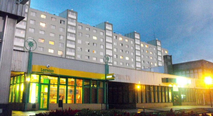 Új fák és kúszónövények Miskolcon – így zöldül a Győri kapu környéke