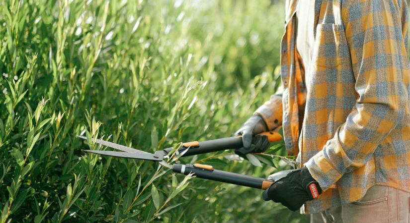 Eljött az őszi metszés ideje! Ezeket a hibákat érdemes elkerülni, ha szép kertet akarsz