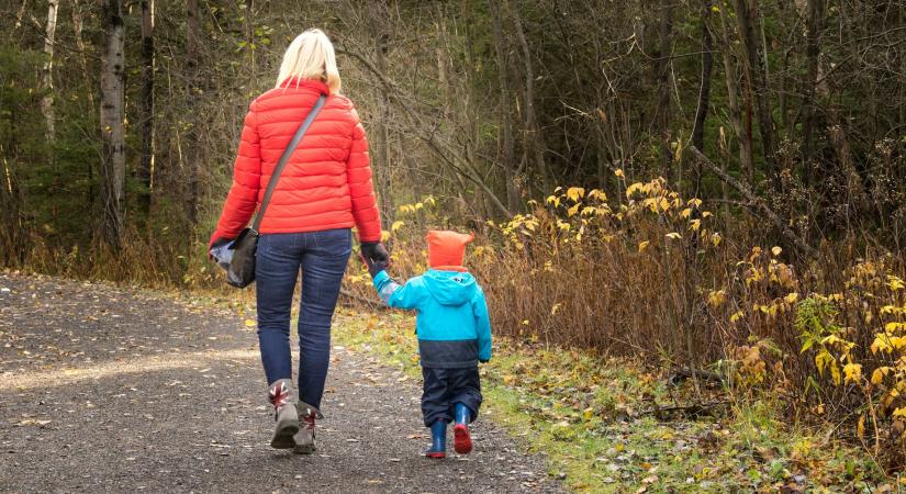 Szja-mentesség: igénylés előtt ezt minden édesanyának át kell gondolnia