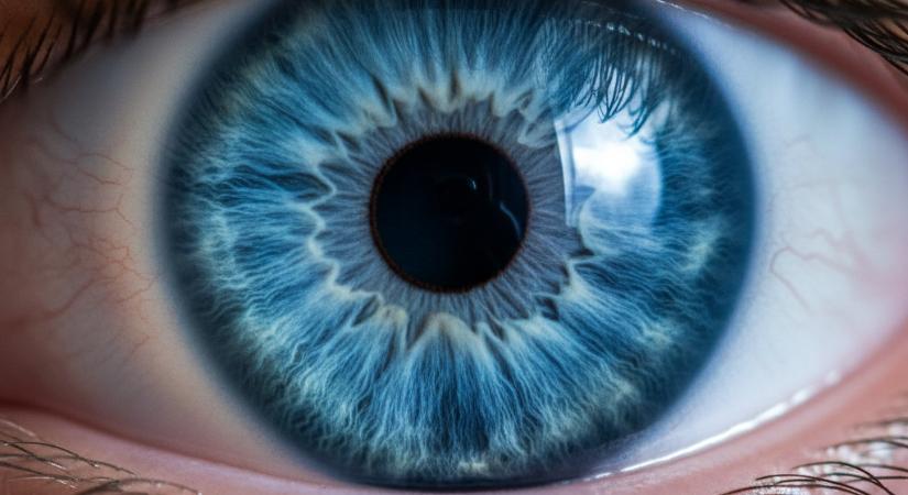 Már embereken tesztelik a látásvisszaállító implantátumot