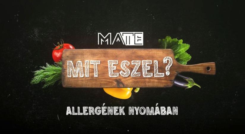 Ha egy falat is elég a bajhoz – Allergének a mindennapokban