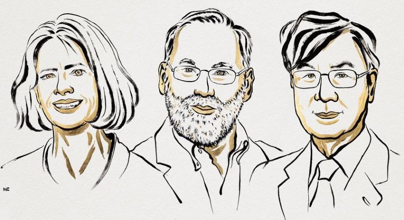 Három kutató kapta a 2025-ös élettani-orvosi Nobel-díjat a periferális immuntolerancia területén végzett felfedezésekért