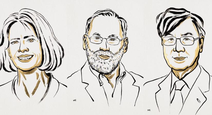 Hogy dolgozik az immunrendszer? Az idei orvosi Nobel-díj a válaszért járt