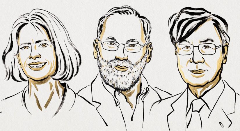 Az immunrendszer szabályozását felfedező kutatók nyerték az orvosi Nobel-díjat