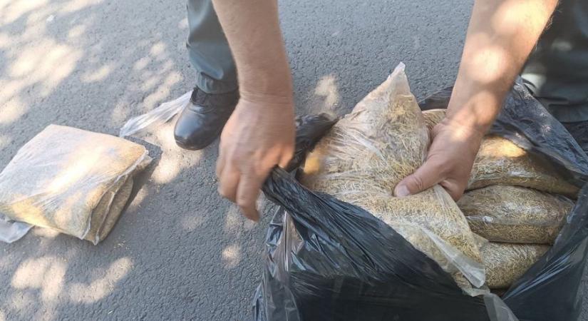 Illegális cigarettagyár: fény derült a hajdú-bihari szálra