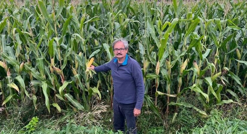 Raskó György megszorításokat sirat – ilyen gazdaságot akar a Tisza Párt Magyarországon?