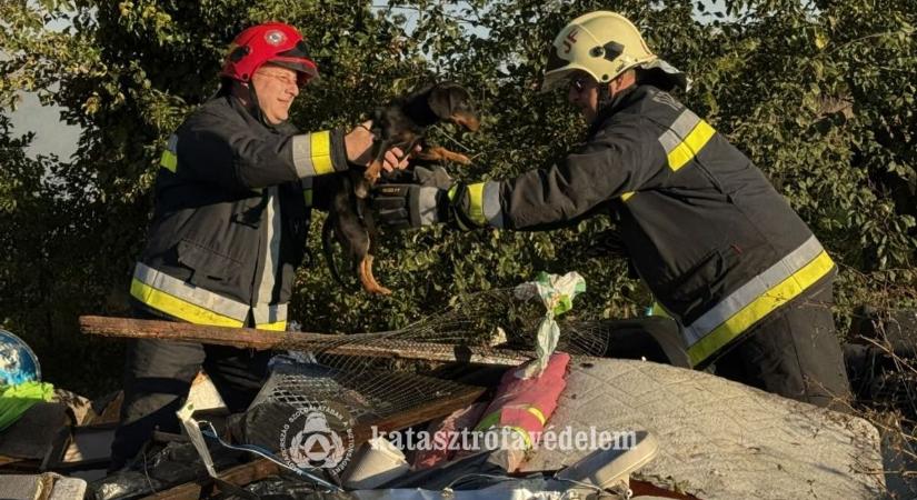 Kutyát mentettek a tűzoltók egy lángoló melléképületből Rábapatyon - helyszíni fotók
