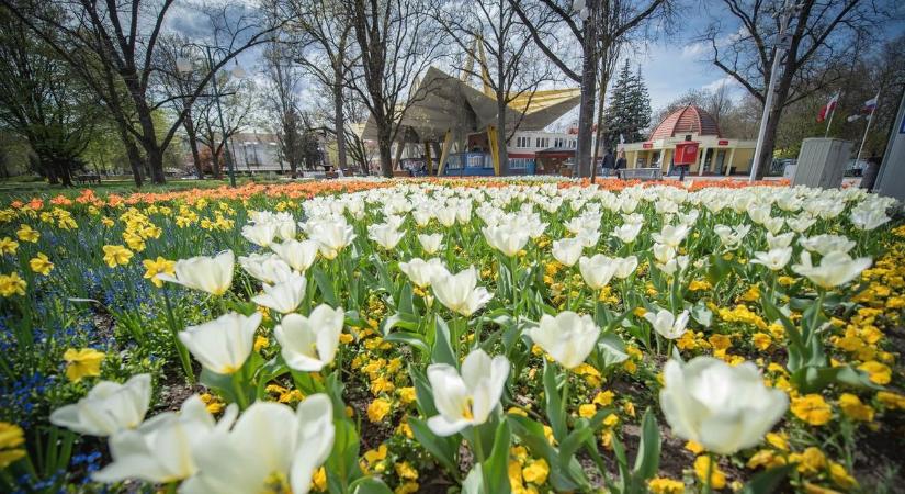 Hajdú-bihari városon a külföldiek szeme, olyat tud ez a hely, amit itt más település nem