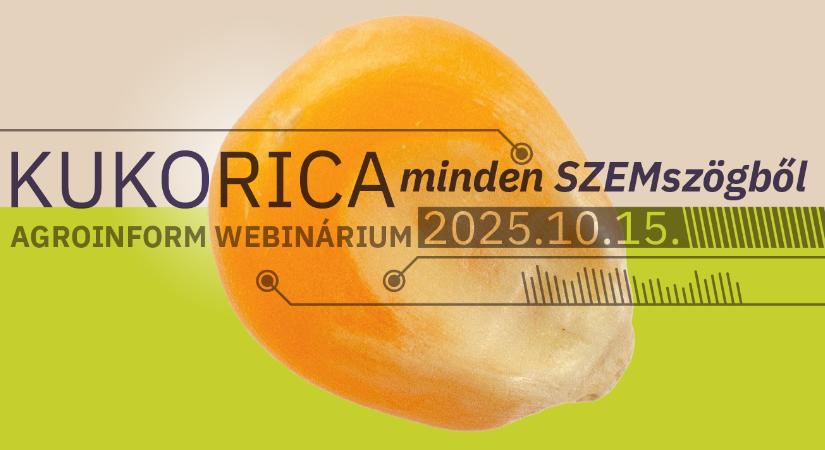 Kukorica minden SZEMszögből – Agroinform webinárium