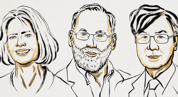 Átadták az orvostudományi Nobel-díjat: 2 könyv a hiánypótló felfedezés mellé